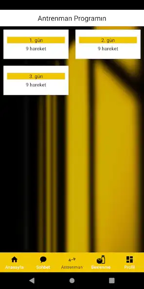 Play GYM Zirve as an online game GYM Zirve with UptoPlay