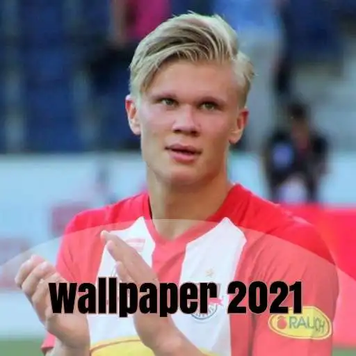 Play Haaland Wallpaper APK