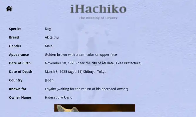 Play Hachiko