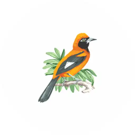 Play Hacienda Herrera APK Play Hacienda Herrera APK