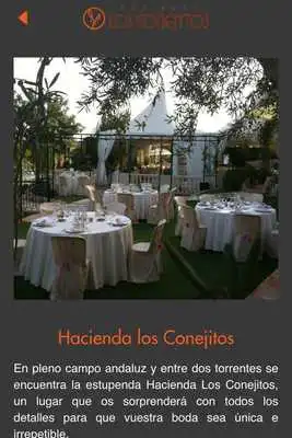 Play Hacienda los Conejitos