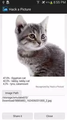 Play Hack a Picture Play Hack a Picture