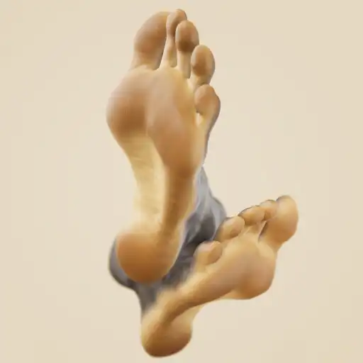 Play HAELE 3D Feet Poser Lite Demo APK Play HAELE 3D Feet Poser Lite Demo APK