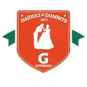 Free play online Haiduci si Domnite 2017 APK