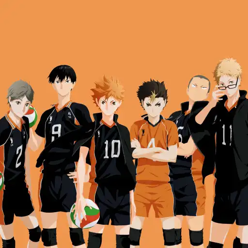 Play Haikyuu Wallpaper HD 2K 4K APK