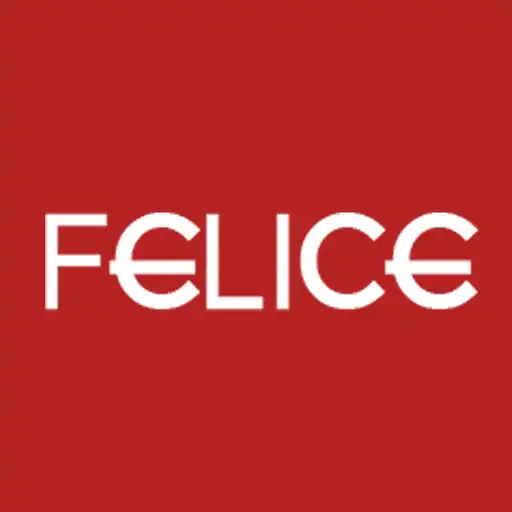 Play hair FELICE APK Play hair FELICE APK