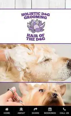 Play Hair of the Dog Liverpool