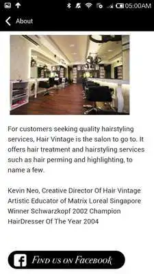 Play Hair Vintage