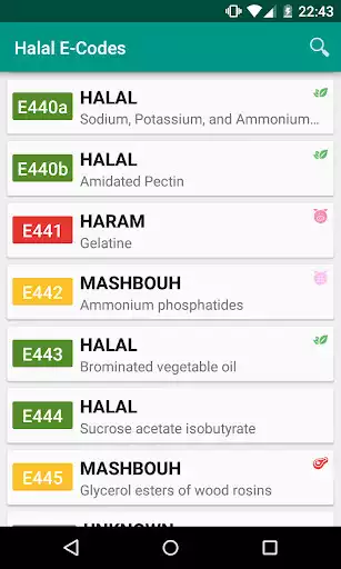 Play Halal E-Numbers  and enjoy Halal E-Numbers with UptoPlay