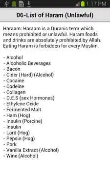 Play Halal Food Guide