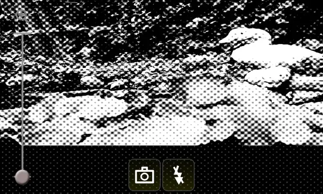 Play Halftone Camera Play Halftone Camera