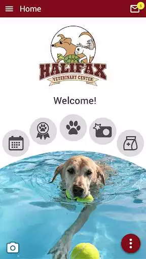 Play HalifaxVet  and enjoy HalifaxVet with UptoPlay