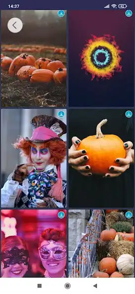 Play Halloween HD Wallpaper Offline as an online game online Halloween HD Wallpaper Offline with UptoPlay Play Halloween HD Wallpaper Offline as an online game Halloween HD Wallpaper Offline with UptoPlay