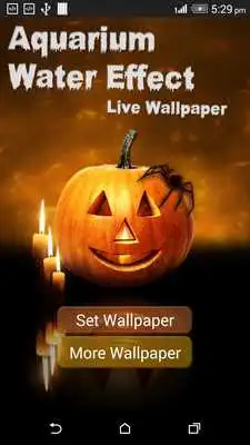 Play Halloween Pumpkin in water