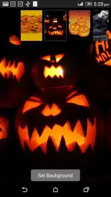 Play Halloween Pumpkin in water