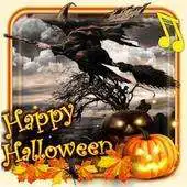 Free play online Halloween Witches 2019 live wallpaper APK