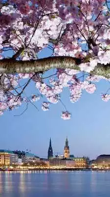 Play Hamburg Wallpapers Play Hamburg Wallpapers