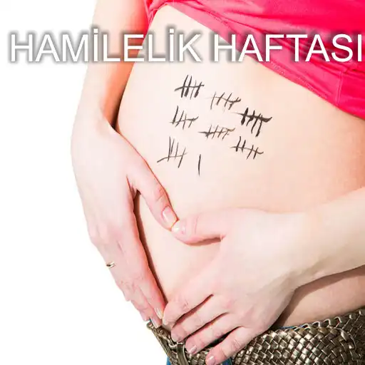 Play Hamilelik Haftası Hesaplama APK