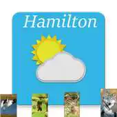 Free play online Hamilton, Ontario - weather and more APK