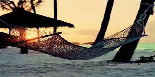 Play Hammock Day - National Hammock Day as an online game Hammock Day - National Hammock Day with UptoPlay