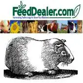 Free play online Hamster Breeding Calculator APK Free play online Hamster Breeding Calculator APK