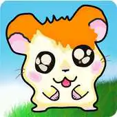 Free play online Hamster  Carrot APK