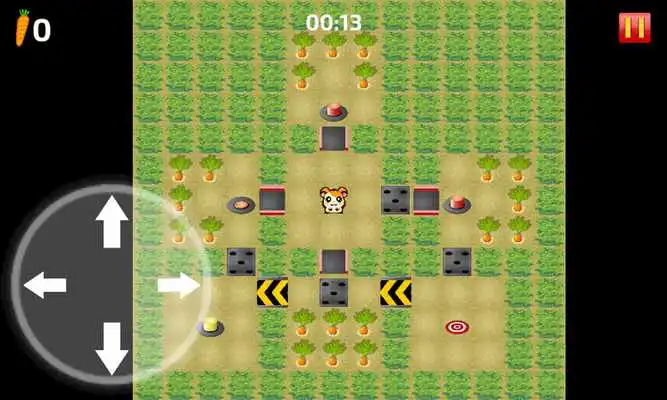 Play Hamster Carrot Play Hamster Carrot