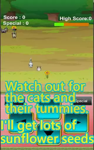 Play Hamster Game
