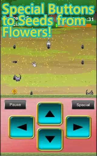 Play Hamster Game