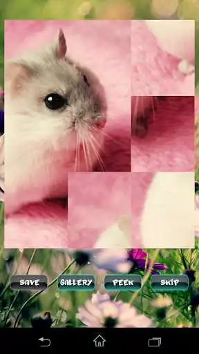 Play Hamster Pet Puzzles and enjoy Hamster Pet Puzzles with UptoPlay Play Hamster Pet Puzzles and enjoy Hamster Pet Puzzles with UptoPlay