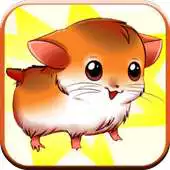 Free play online Hamster Pro APK Free play online Hamster Pro APK