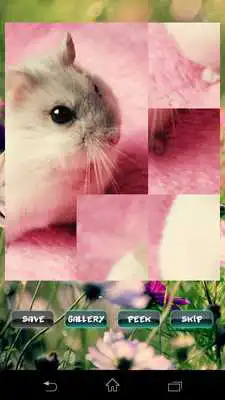 Play Hamster Puzzles Play Hamster Puzzles