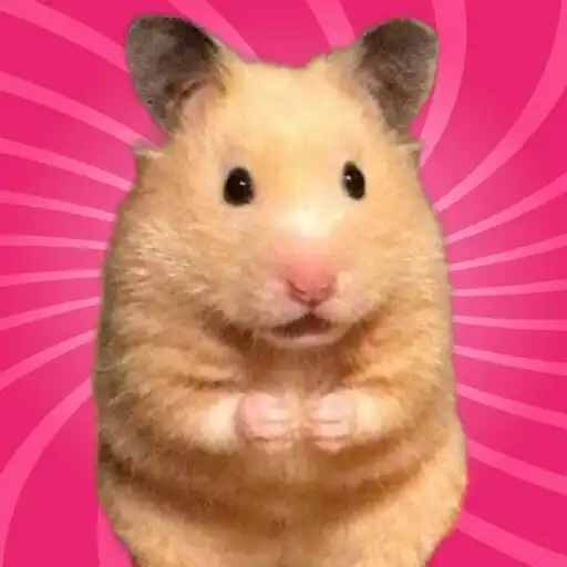 Play Hamster Stickers APK
