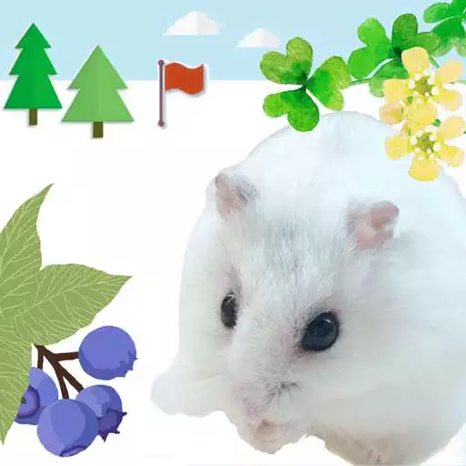 Play Hamster Walks APK Play Hamster Walks APK