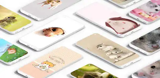 Play Hamster Wallpaper