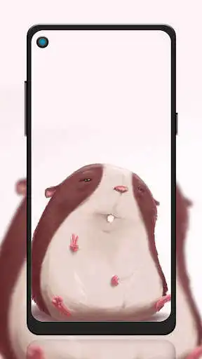 Play Hamster Wallpaper