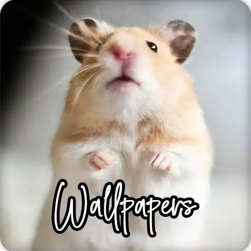 Play Hamster Wallpapers HD APK Play Hamster Wallpapers HD APK