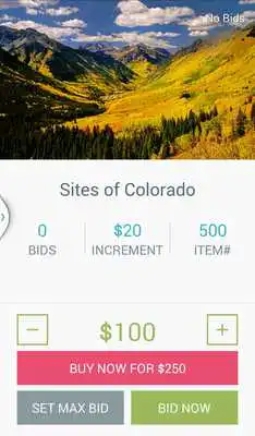 Play Handbid