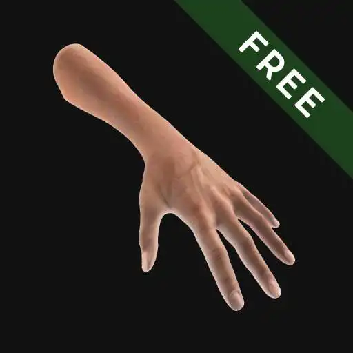 Free play online Hand Draw 3D Pose Tool FREE APK Free play online Hand Draw 3D Pose Tool FREE APK