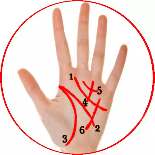 Play Hand Fortune Teller APK