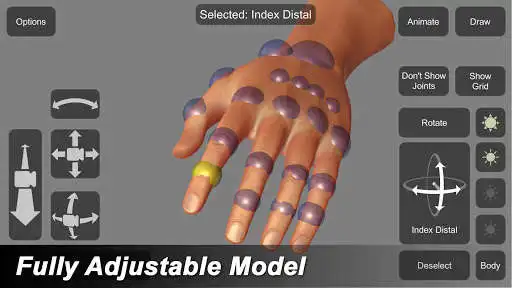 Play APK Hand Mannequin  and enjoy Hand Mannequin with UptoPlay com.apps3DMannequins.HandMannequin