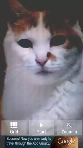 Play Hand Mirror  and enjoy Hand Mirror with UptoPlay