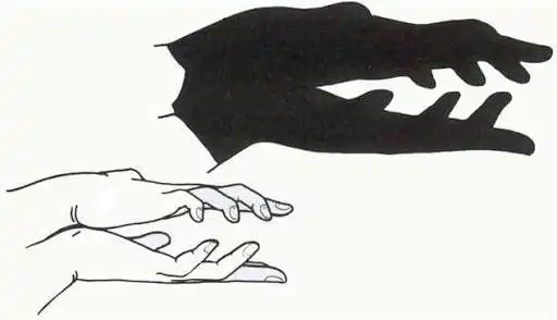 Play APK Hand Shadow Art Ideas  and enjoy Hand Shadow Art Ideas with UptoPlay com.HandShadowArtIdeas.saiyaapp