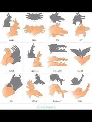Play Hand Shadow Puppet Ideas