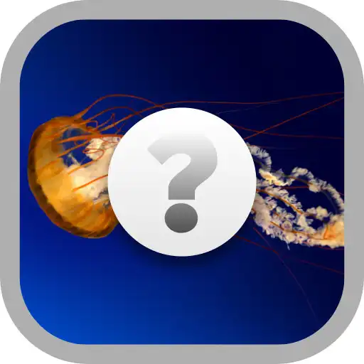 Play Hangi Hayvan Bu APK Play Hangi Hayvan Bu APK