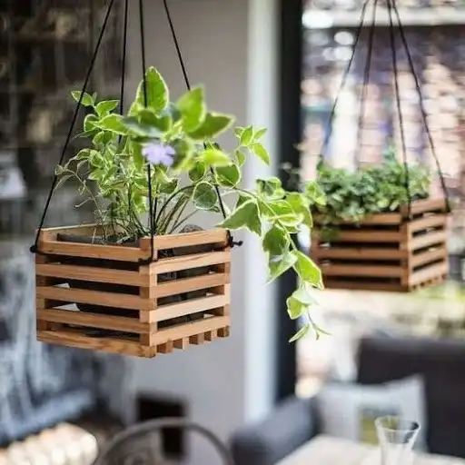 Play hanging pot ideas and enjoy hanging pot ideas with UptoPlay Play hanging pot ideas and enjoy hanging pot ideas with UptoPlay