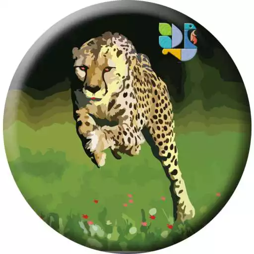 Play Hansa Cheetah APK Play Hansa Cheetah APK