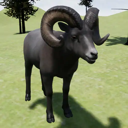Play Happy Bighorn Sheep Simulator APK