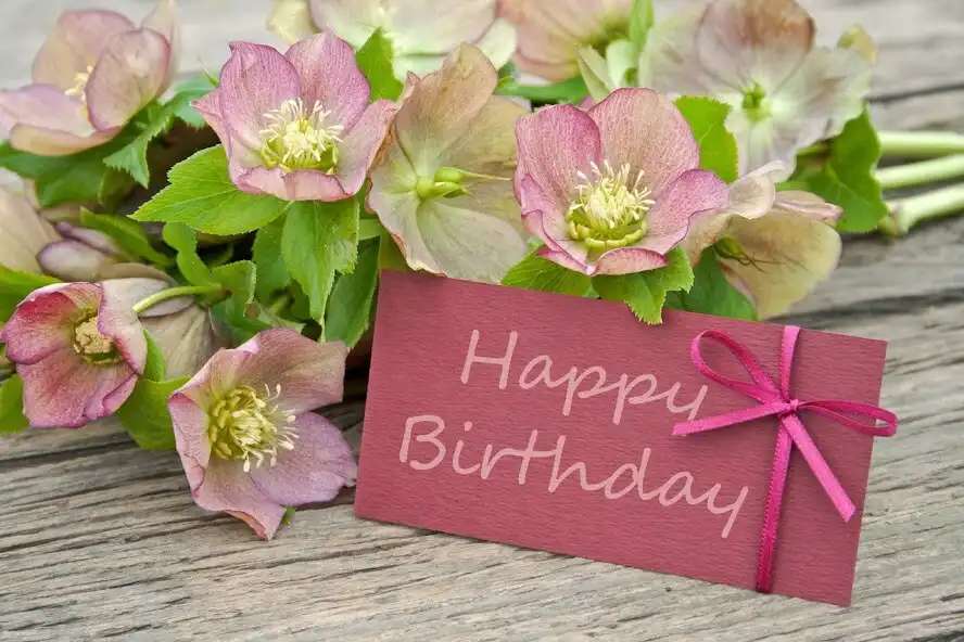 Play happy birthday wishes GIF 2023 as an online game happy birthday wishes GIF 2023 with UptoPlay