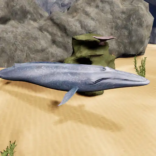 Play Happy Blue Whale Simulator APK